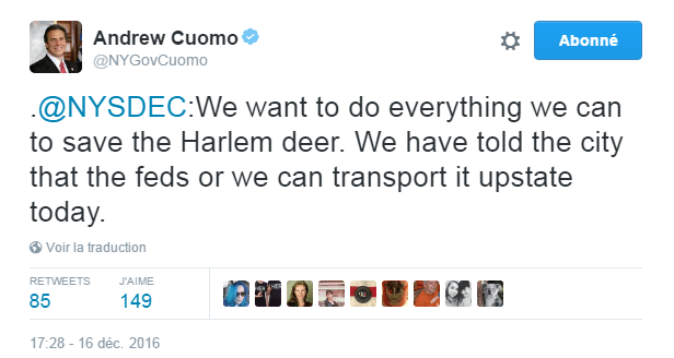 Traduction: Nous voulons faire tout notre possible pour sauver le cerf d'Harlem. Nous avons dit à la ville que les fédéraux ou nous pouvions le transporter dans le nord de l'état aujourd'hui.